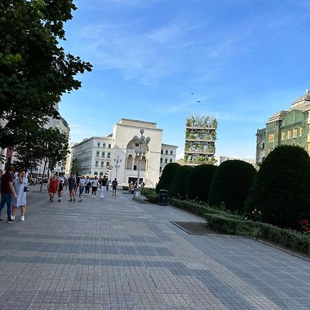 Ultracentral Luxury Apartament 티미쇼아라 외부 사진