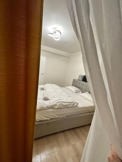 Ultracentral Luxury Apartament 티미쇼아라 외부 사진