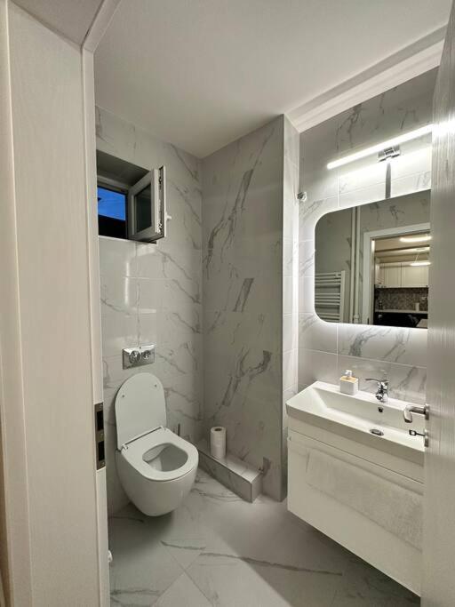 Ultracentral Luxury Apartament 티미쇼아라 외부 사진