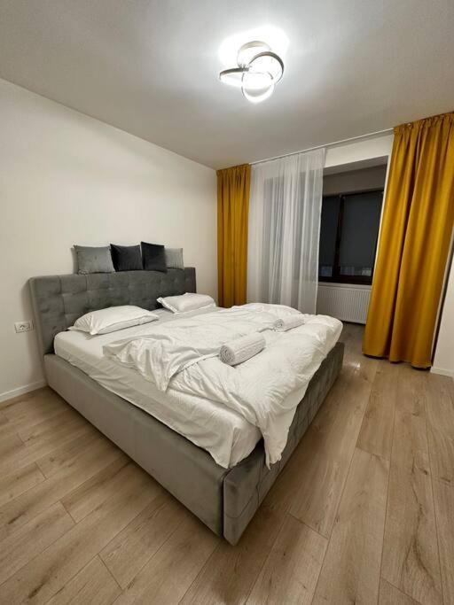 Ultracentral Luxury Apartament 티미쇼아라 외부 사진