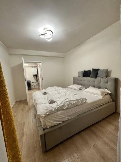 Ultracentral Luxury Apartament 티미쇼아라 외부 사진